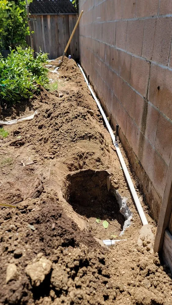 Reliable garden landscaping for year-round maintenance in Escondido, CA by JP Landscape