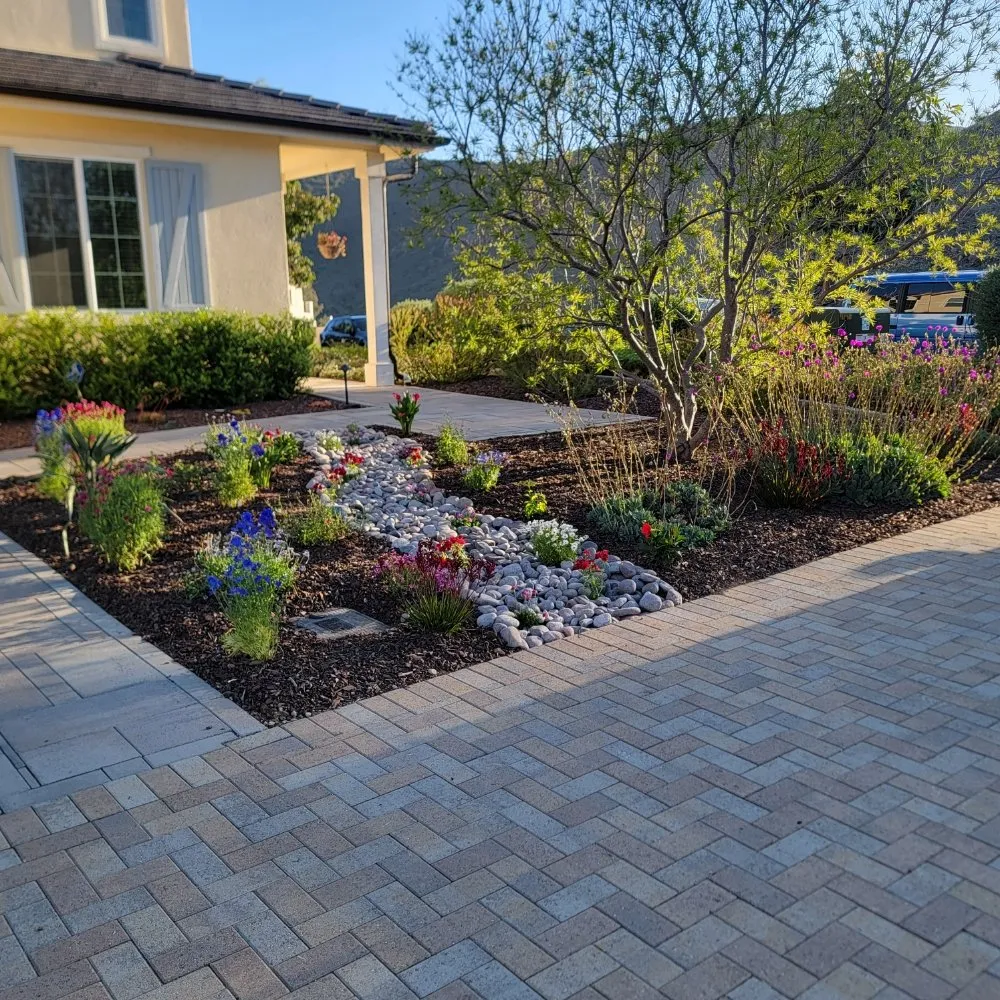 Trusted yard maintenance for beautiful yards in Escondido, CA by JP Landscape