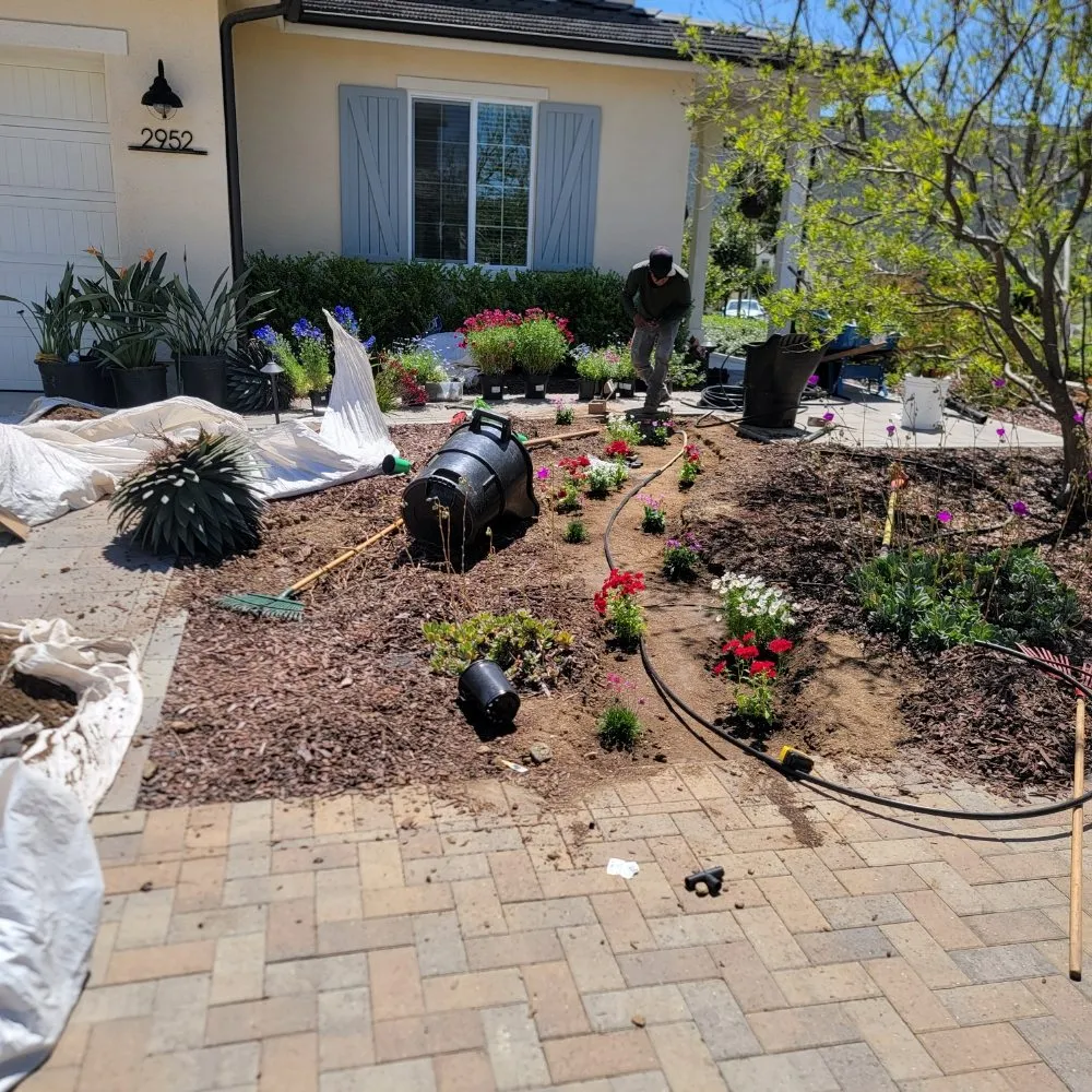 Expert yard maintenance for year-round maintenance across Escondido, CA - JP Landscape