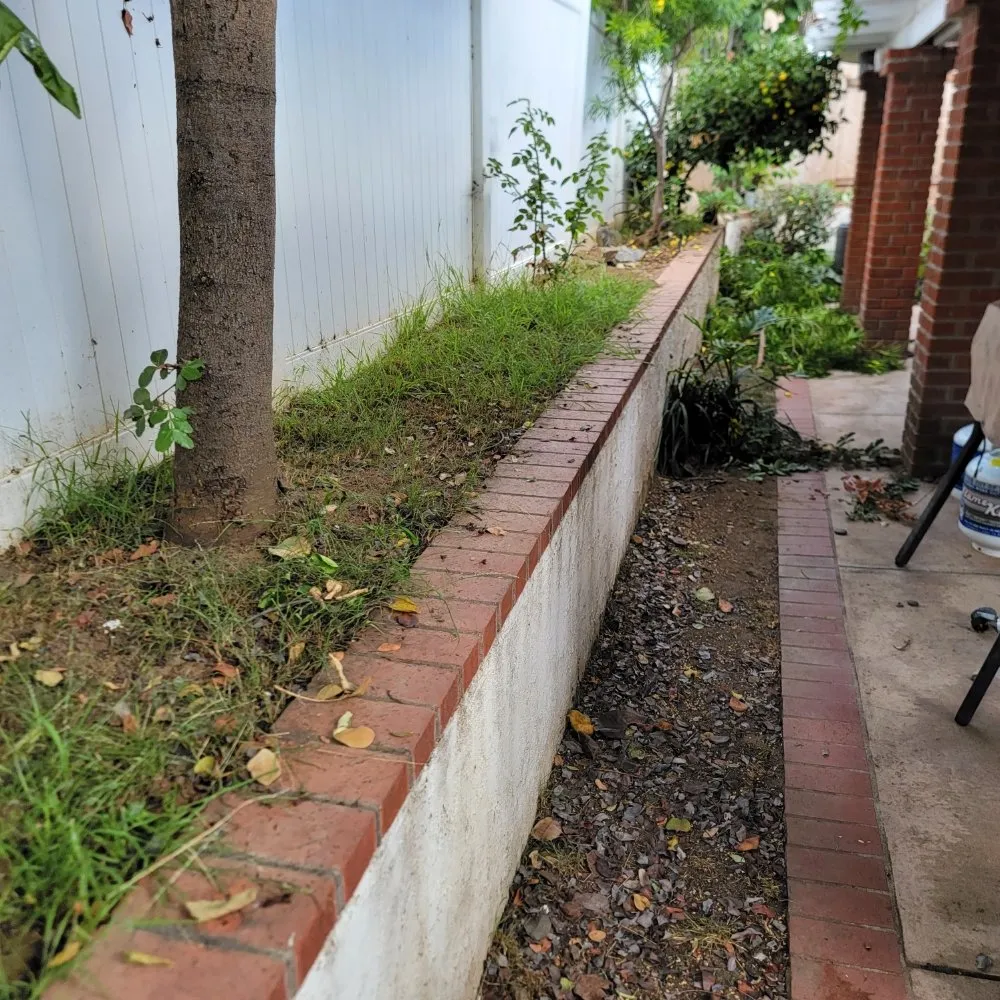 Affordable landscape design in Escondido, CA by JP Landscape