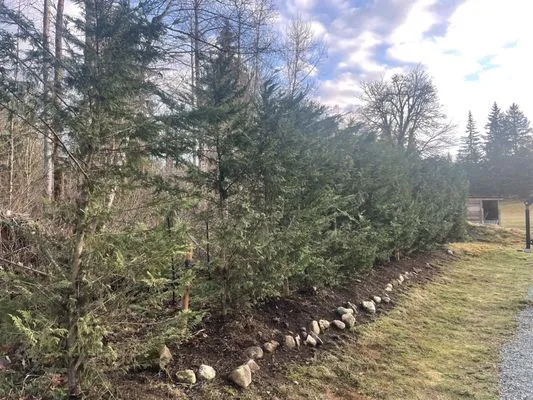 JP Landscape Services, Inc.