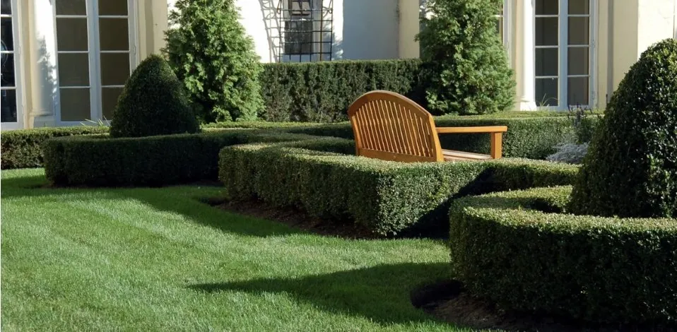 Expert residential landscaping for homes in Creedmoor, NC by JP Landscaping & Lawncare