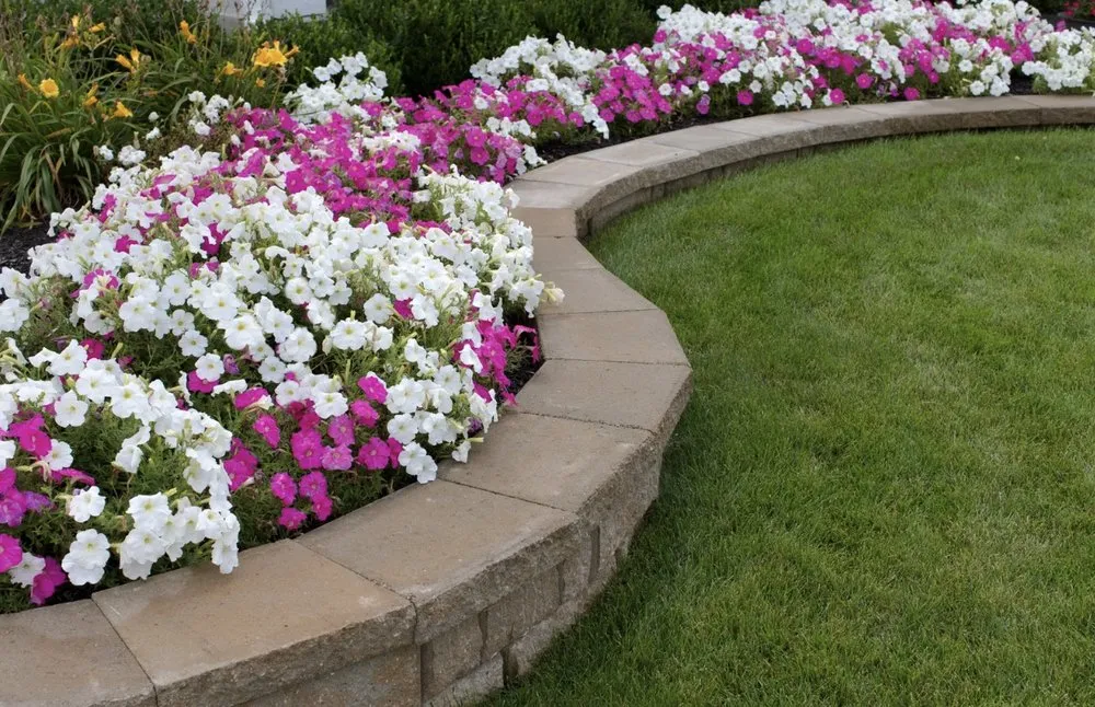 Top-rated landscape installation in Creedmoor, NC by JP Landscaping & Lawncare