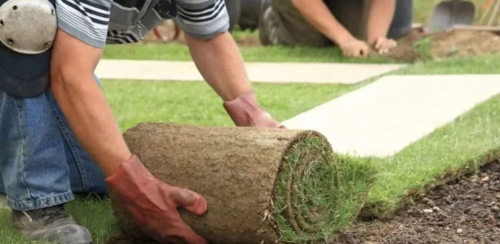 Custom landscape installation near you across Creedmoor, NC - JP Landscaping & Lawncare