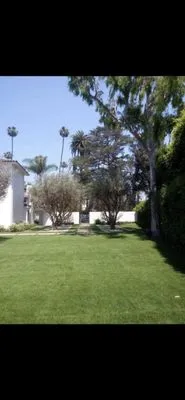 JP Landscaping & Tree Service Logo