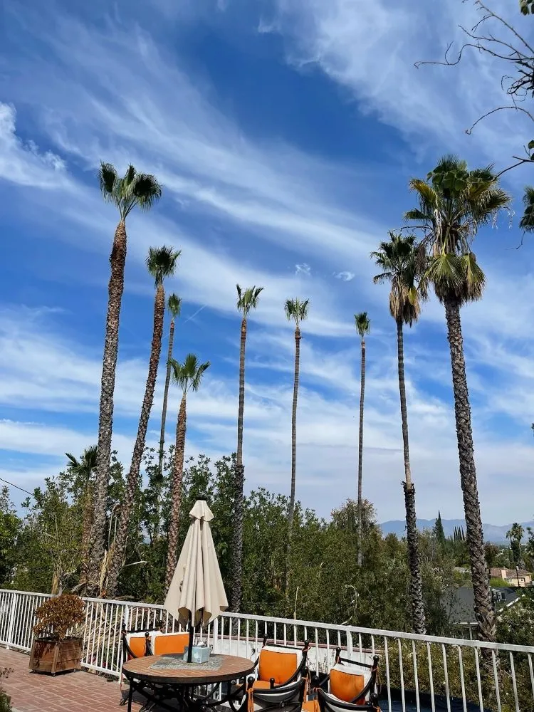 Professional landscaping services experts serving San Fernando, CA - JP Landscaping & Tree Services