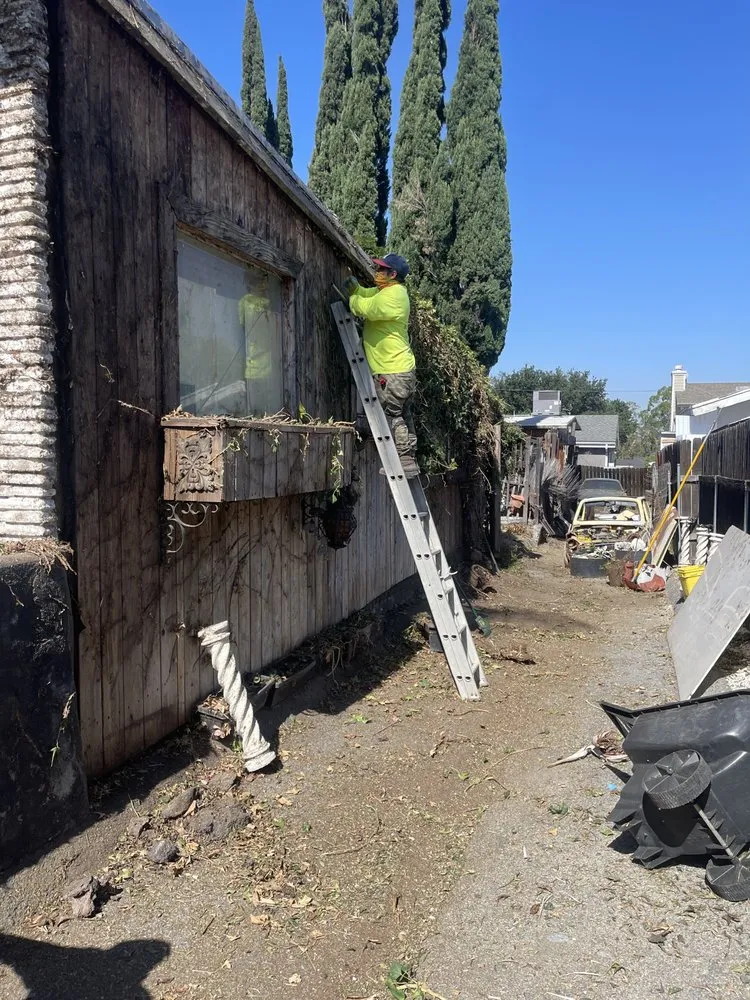 Custom lawn mowing service with custom design across San Fernando, CA - JP Landscaping & Tree Services