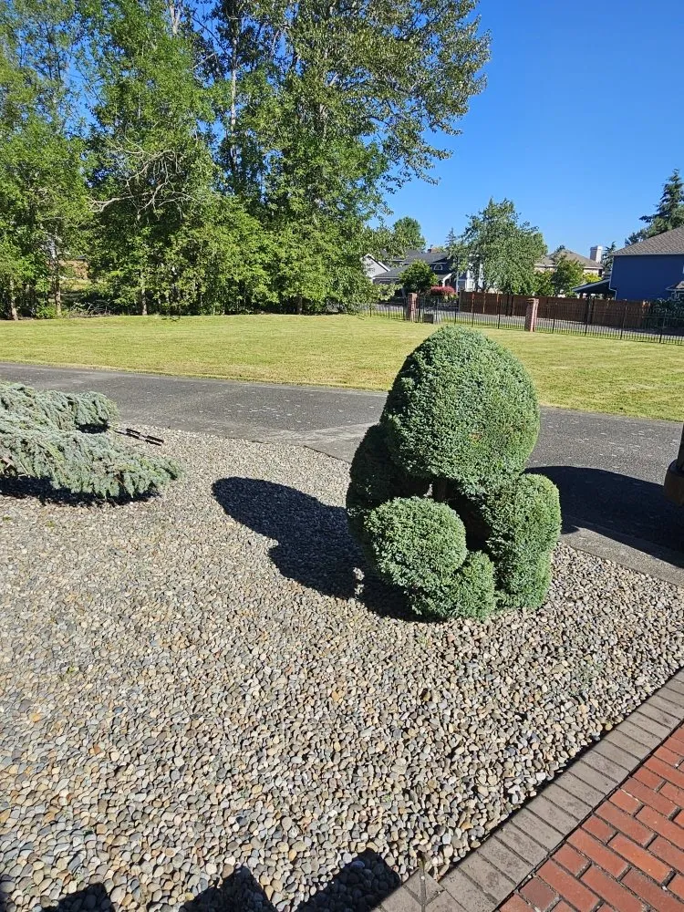 Custom yard cleanup service for homes in Maple Valley, WA by JP Landscaping And Fencing
