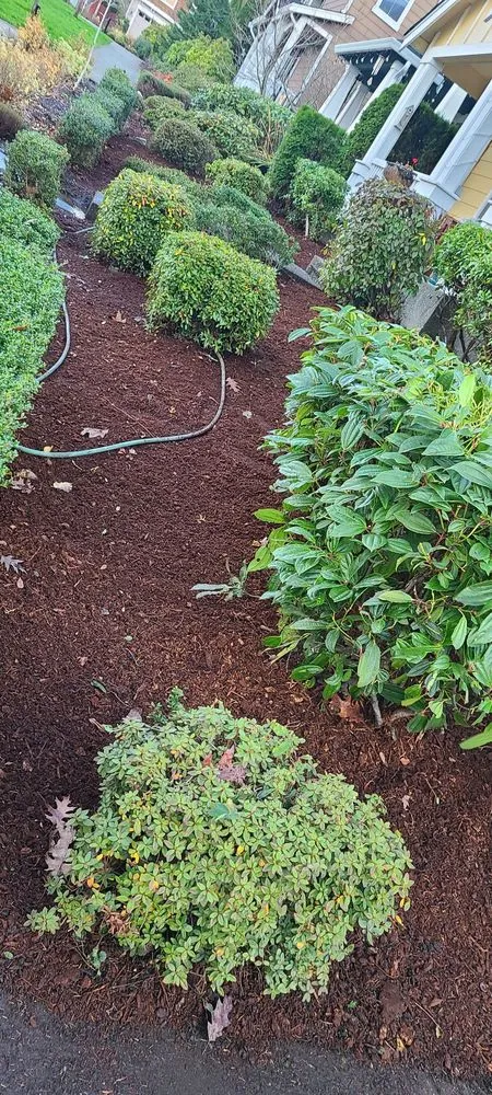 Professional landscape installation in Maple Valley, WA by JP Landscaping And Fencing