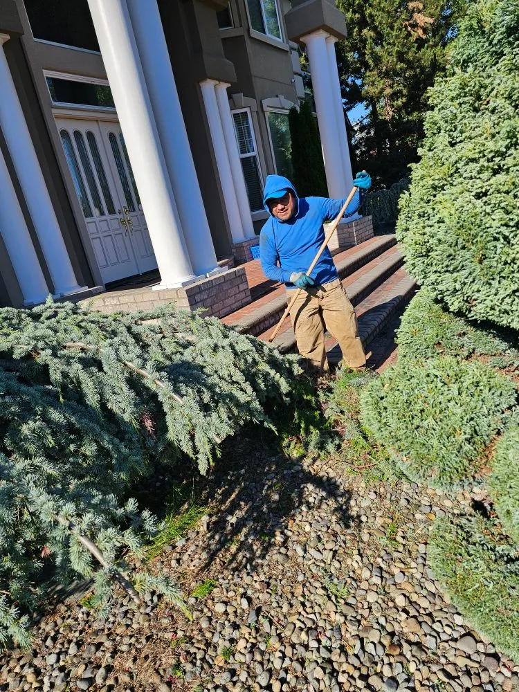 Professional garden landscaping with custom design in Maple Valley, WA by JP Landscaping And Fencing