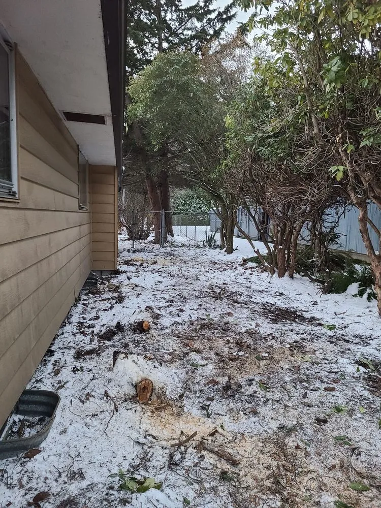 Reliable lawn mowing service experts serving Maple Valley, WA - JP Landscaping And Fencing