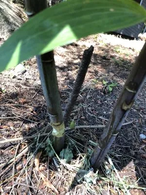 JP Landscaping And Fencing