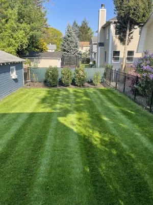 JP Landscaping and Snow Services