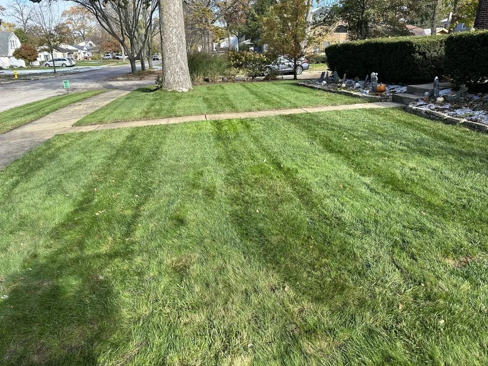 Local yard maintenance in Glendale Heights, IL by JP Landscaping And Tree Services