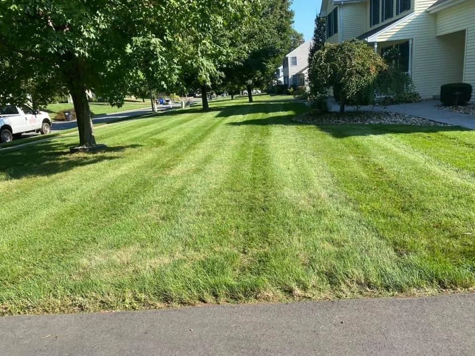 Local yard cleanup service for year-round maintenance across East Hartford, CT - JP Landscaping