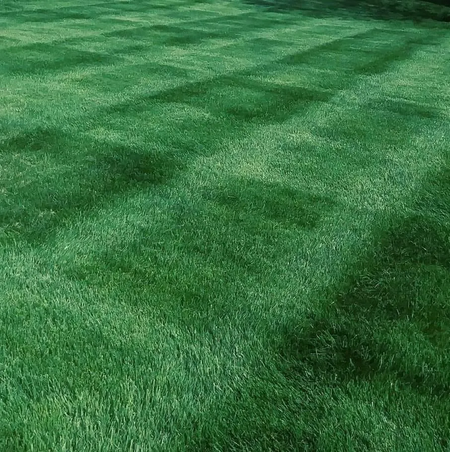 Top-rated landscape design in Alexandria, VA - JP Landscaping Inc