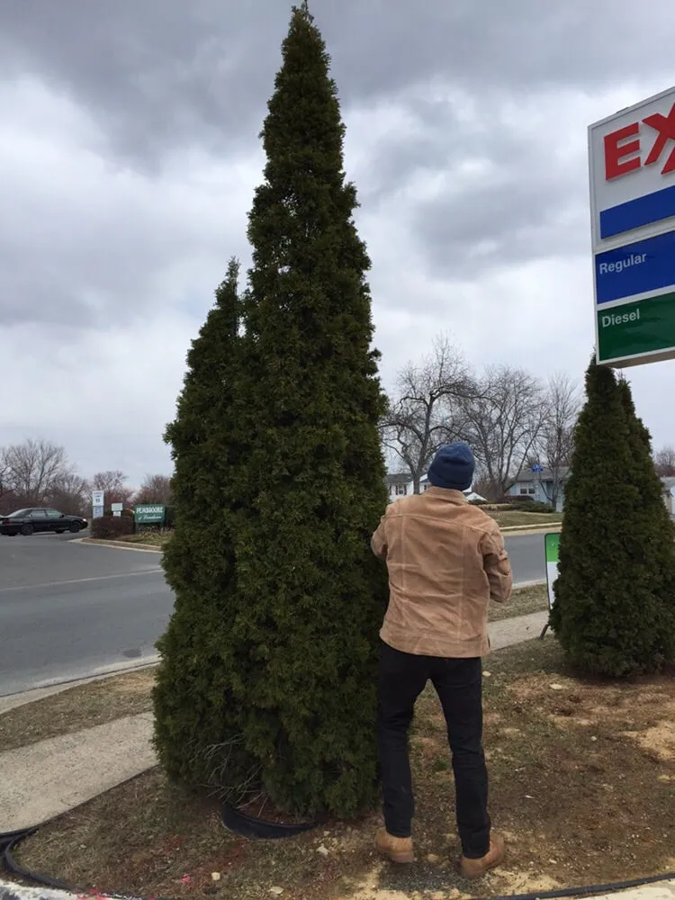 Professional garden landscaping experts serving Leesburg, VA - JP Landscaping