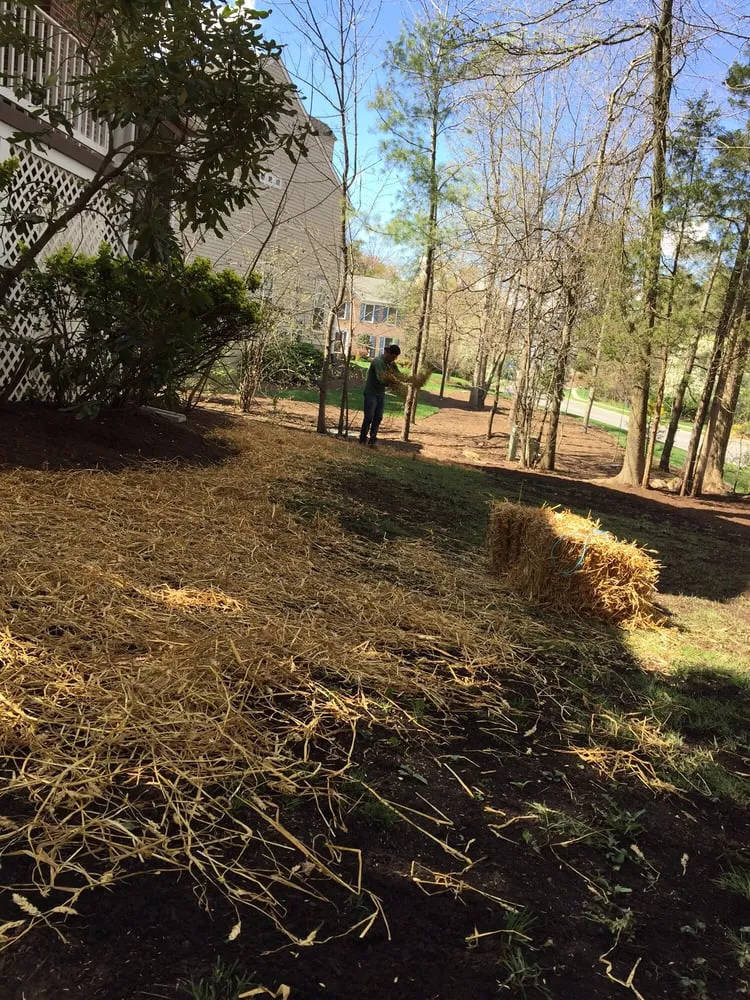 Trusted residential landscaping in Leesburg, VA by JP Landscaping