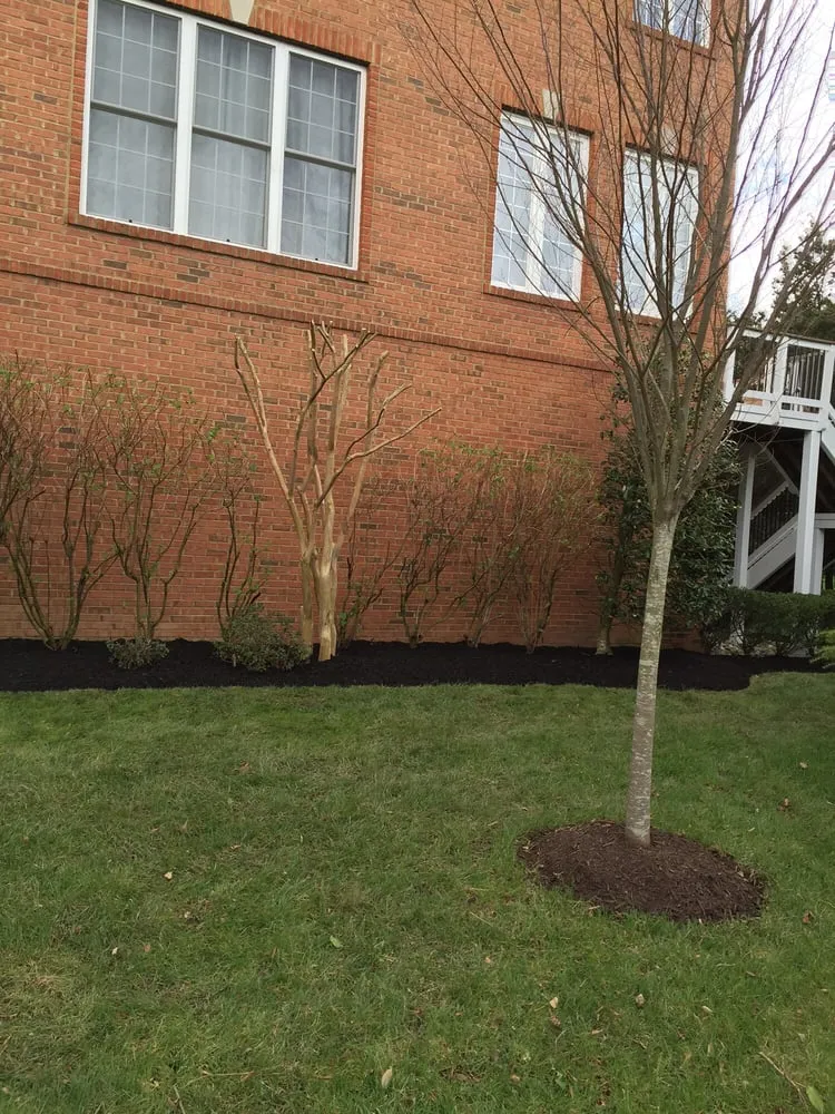 Expert yard cleanup service for homes in Leesburg, VA by JP Landscaping