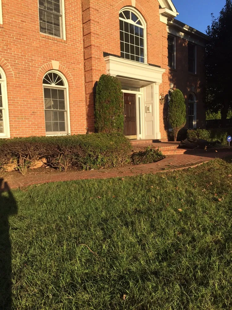 Affordable yard cleanup service for homes in Leesburg, VA by JP Landscaping