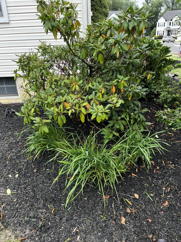 Professional lawn care service in Runnemede, NJ - J&P Landscaping