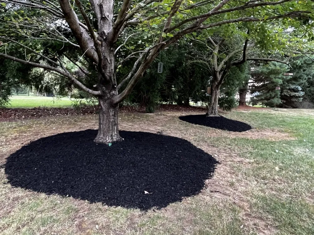 Trusted landscaping services for homes across Runnemede, NJ - J&P Landscaping