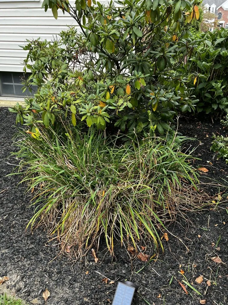 Expert outdoor landscaping experts serving Runnemede, NJ - J&P Landscaping