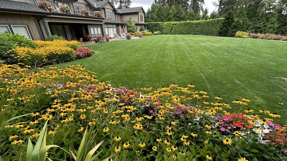 Reliable yard cleanup service in Portland, OR by JP Landscaping Service