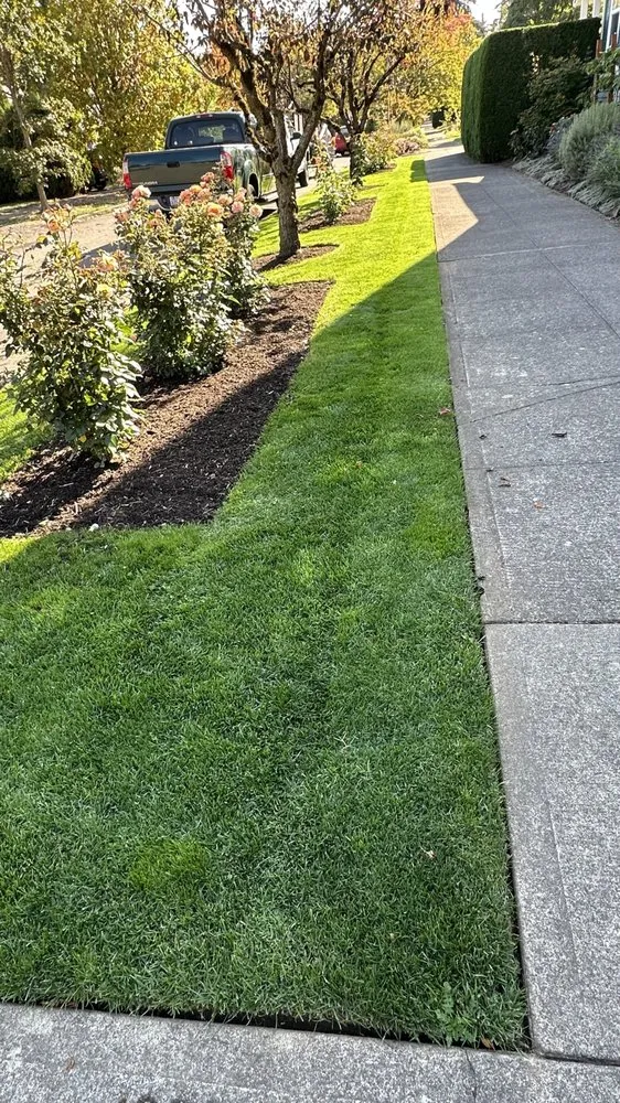 Local landscape design experts serving Portland, OR - JP Landscaping Service
