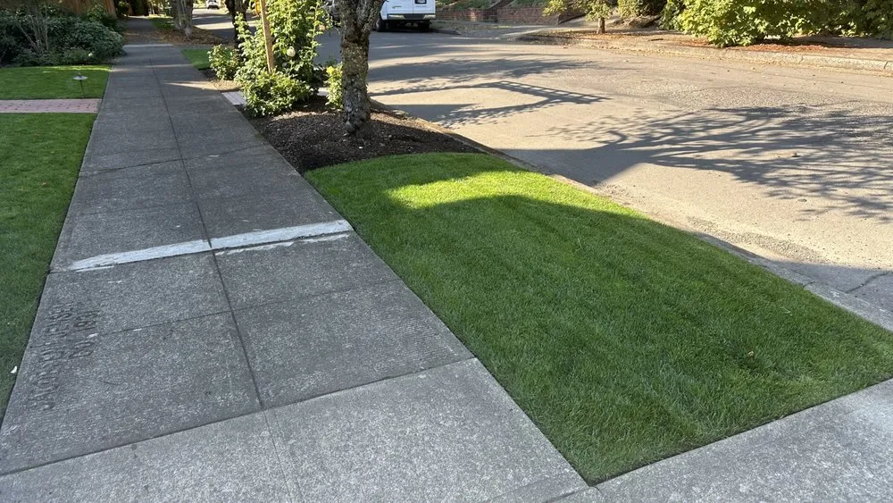 Trusted yard maintenance experts serving Portland, OR - JP Landscaping Service