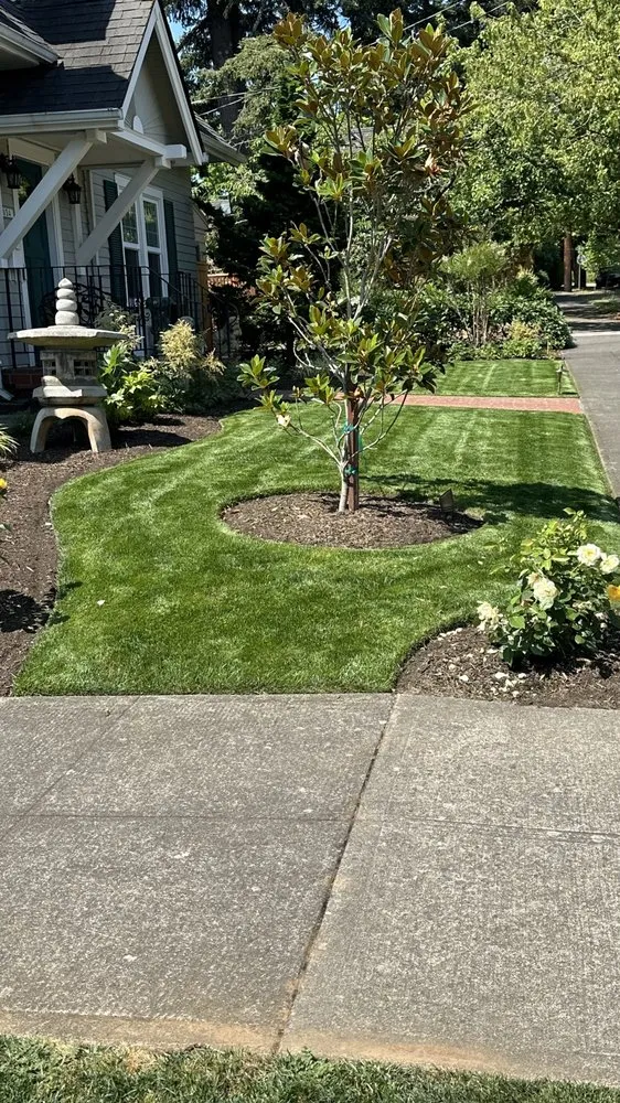 Professional lawn care service near you in Portland, OR by JP Landscaping Service