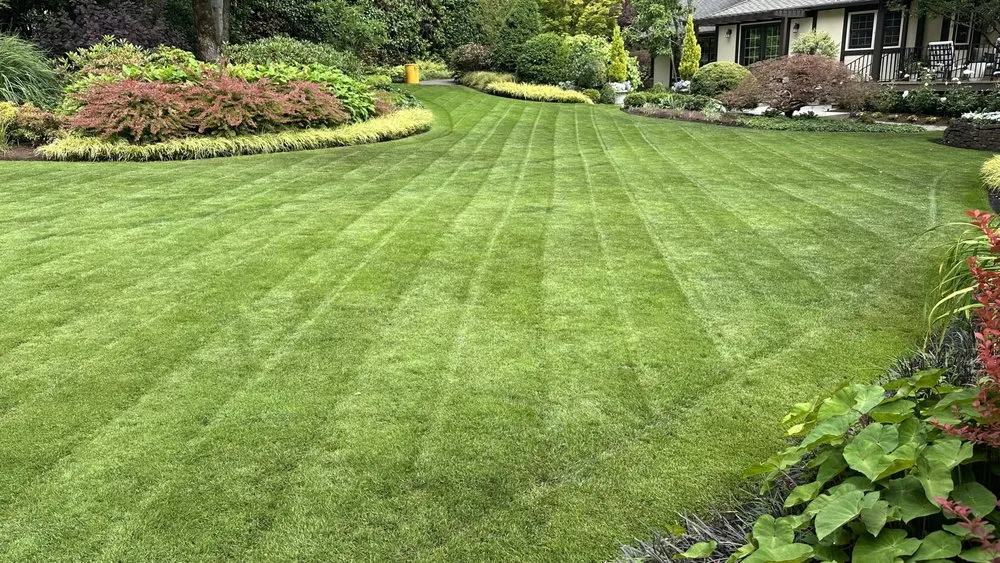 Affordable lawn mowing service with custom design in Portland, OR by JP Landscaping Service