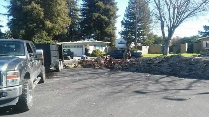 Trusted residential landscaping in Fairfield, CA by Jp Landscaping Services