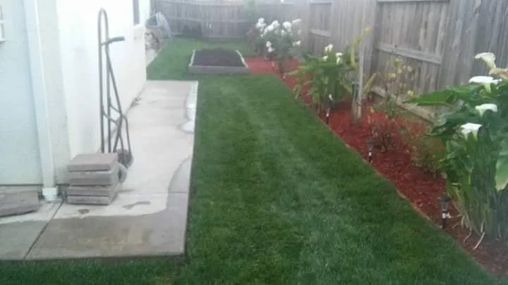 Top-rated landscape installation for homes in Fairfield, CA by Jp Landscaping Services