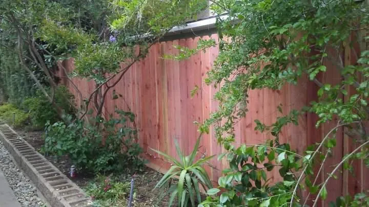 Professional lawn mowing service near you across Fairfield, CA - Jp Landscaping Services