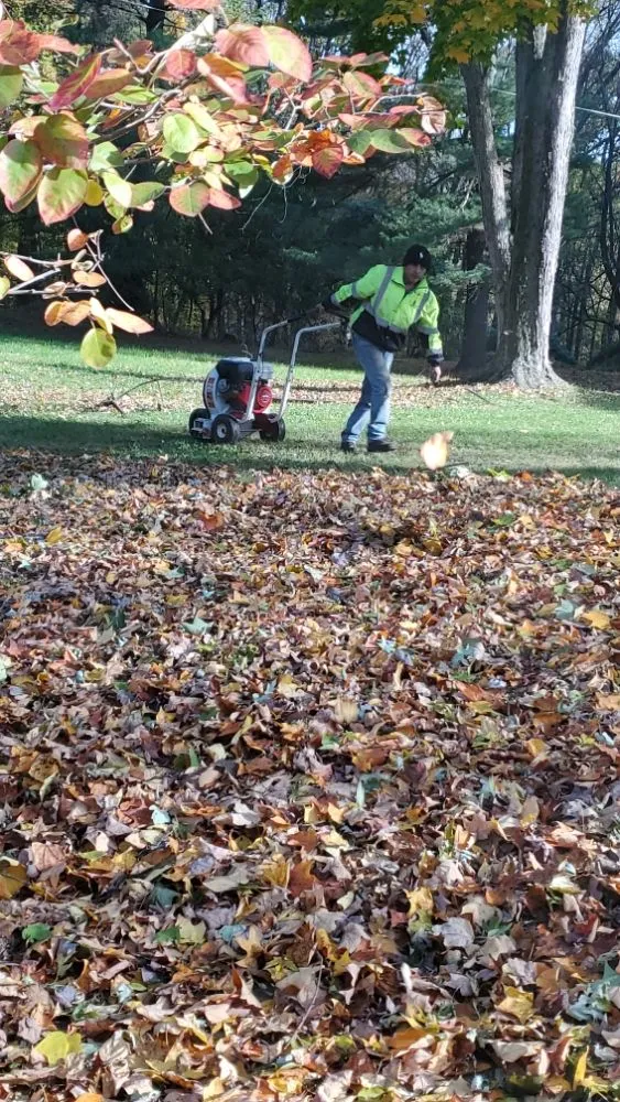 Professional outdoor landscaping in Wheaton, MD by J&P Landscaping Services
