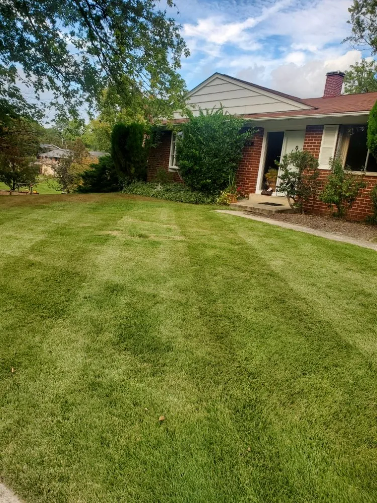 Expert yard maintenance experts serving Wheaton, MD - J&P Landscaping Services
