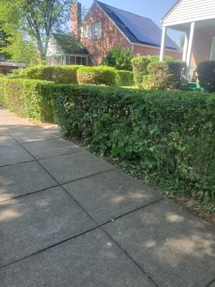 Top-rated residential landscaping for homes in Wheaton, MD by J&P Landscaping Services