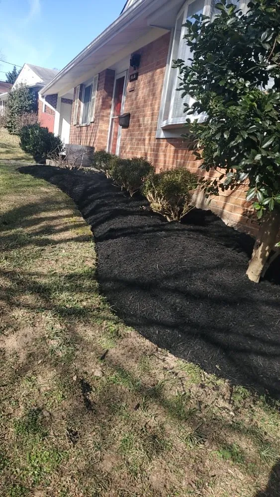 Custom garden landscaping for beautiful yards in Wheaton, MD by J&P Landscaping Services