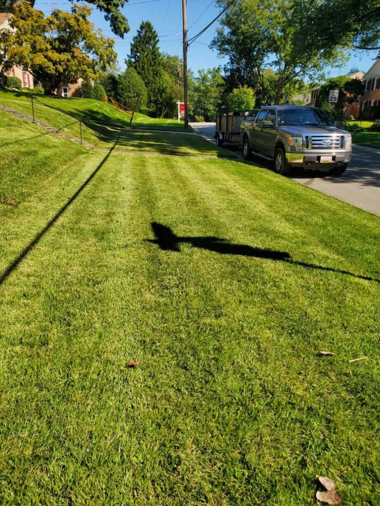 Reliable garden landscaping for residential properties in Wheaton, MD by J&P Landscaping Services