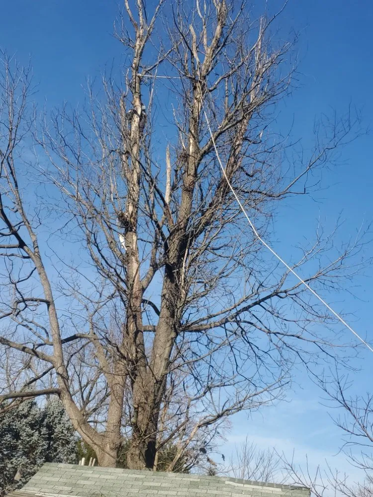 Affordable garden landscaping near you across Wheaton, MD - J&P Landscaping Services