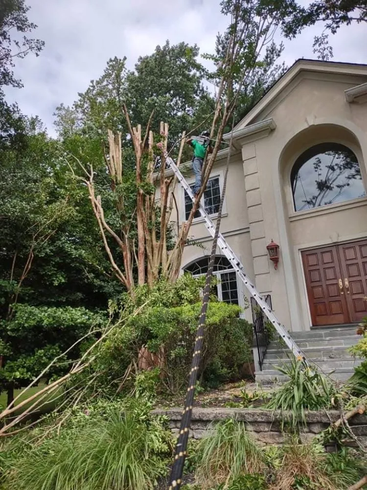 Local lawn care service experts serving Wheaton, MD - J&P Landscaping Services