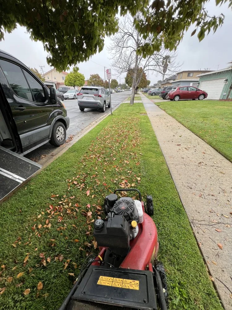 Trusted landscaping services in Torrance, CA - J&P Landscaping