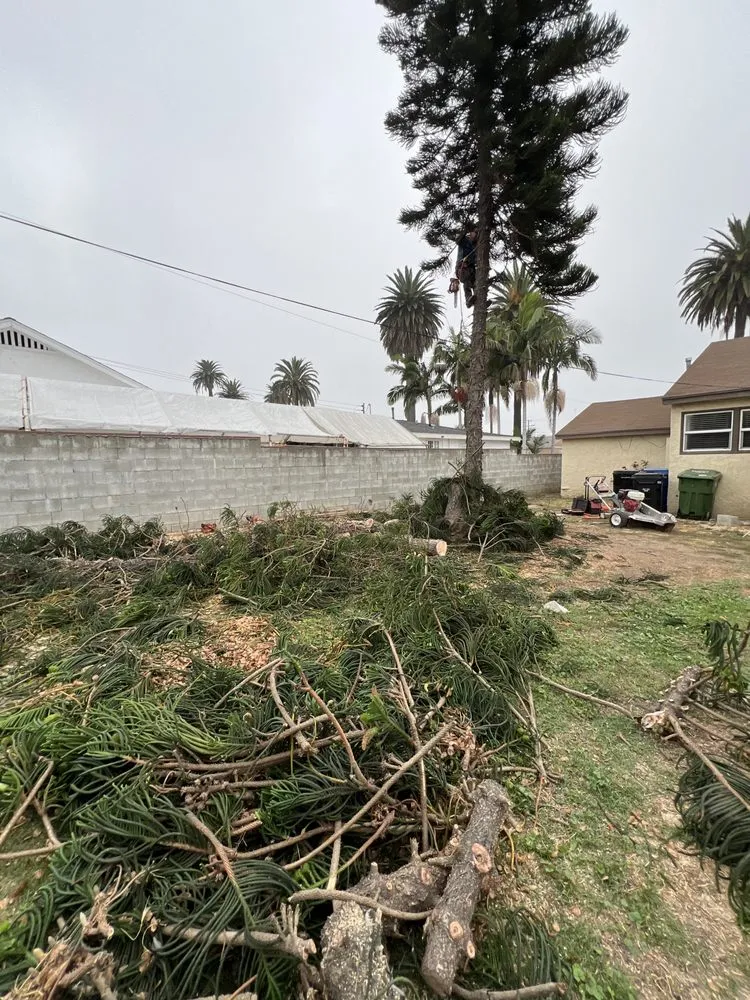 Expert garden landscaping experts serving Torrance, CA - J&P Landscaping