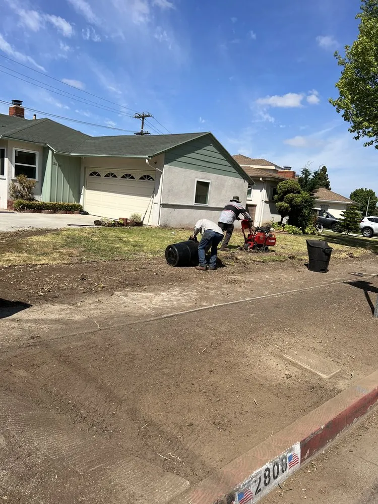 Top-rated residential landscaping in Torrance, CA by J&P Landscaping