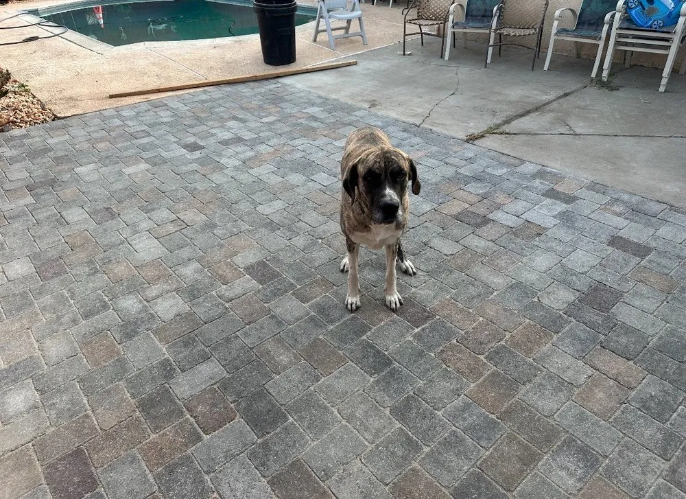 Local landscaping services experts serving Tracy, CA - JP Landscaping