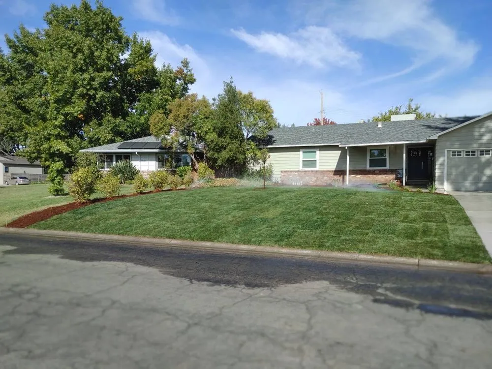 Top-rated yard cleanup service in Tracy, CA by JP Landscaping