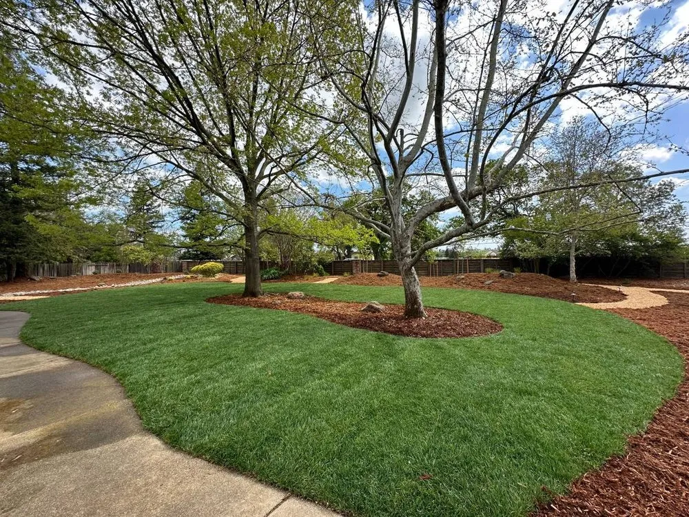 Local landscape design in Tracy, CA - JP Landscaping