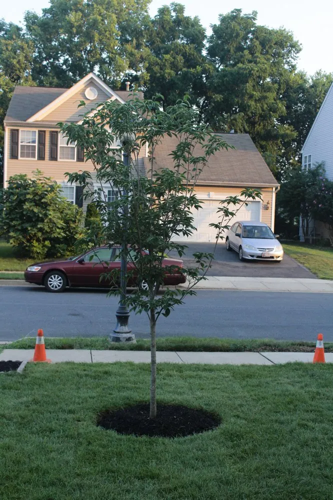 Local yard maintenance for outdoor upgrades across Frederick, MD - JP Landstruction