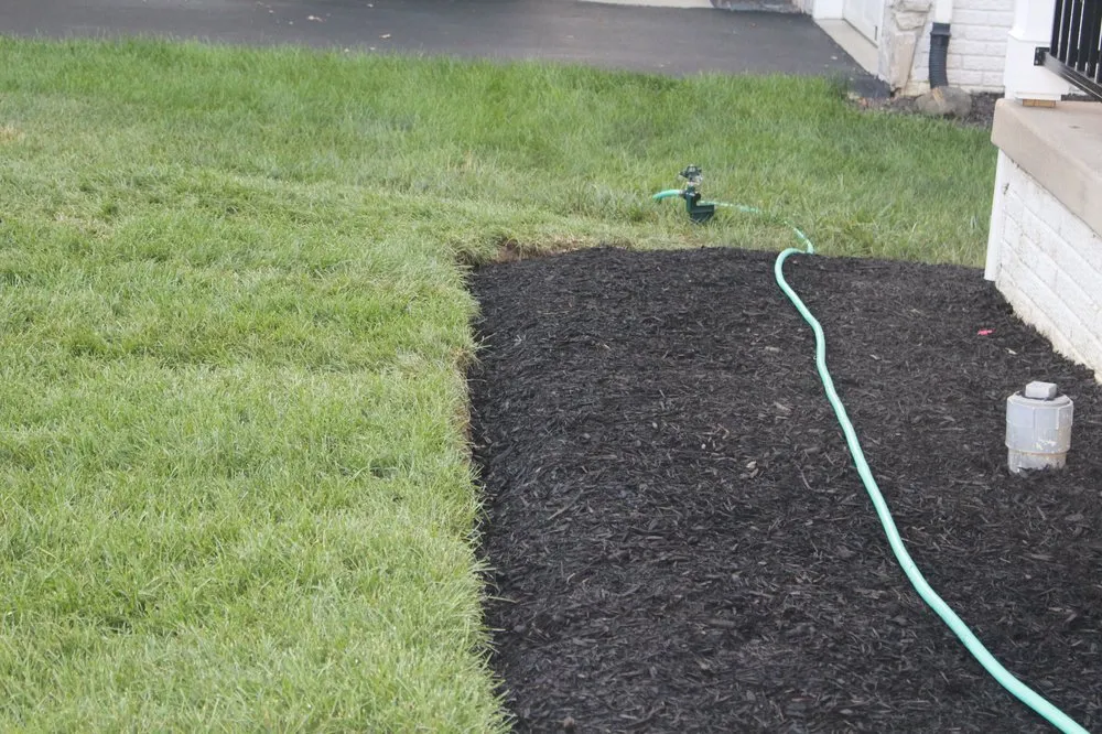 Trusted yard maintenance experts serving Frederick, MD - JP Landstruction